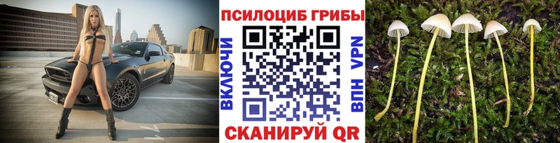 Галлюциногенные грибы Cubensis  Нижний Тагил 